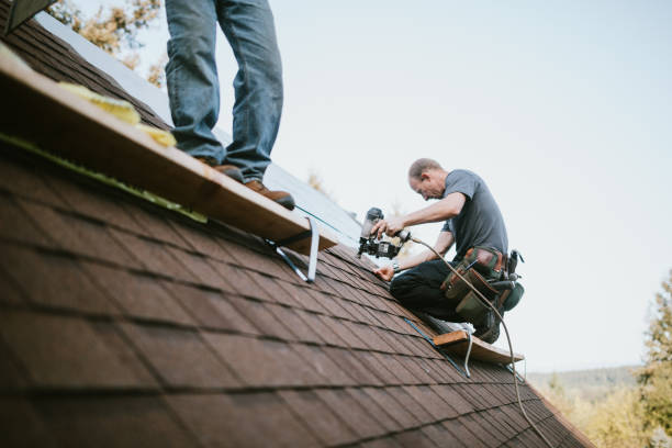 Best Roof Gutter Cleaning  in Sisseton, SD